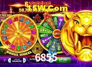 Experiência VIP 6855